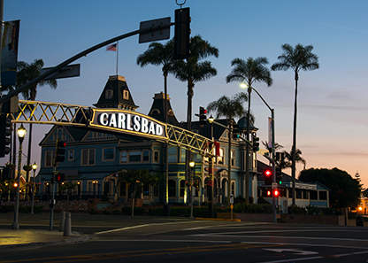 Tour North County Breweries by Limo